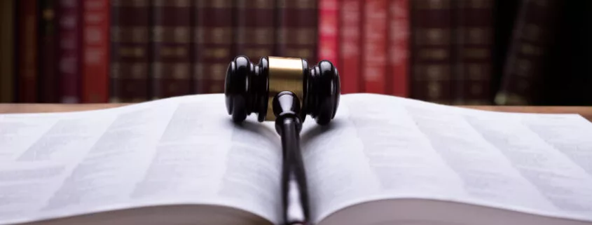 Facoltà in declino: giurisprudenza, iscritti in calo negli ultimi 10 anni 23